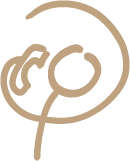 Beratung für Frauen