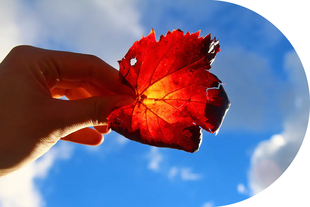 Frauenberatung Soest