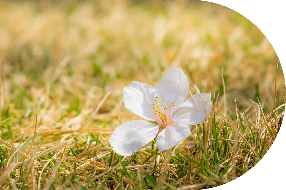 Frauenberatung Soest bietet Hilfe in vielen Sprachen